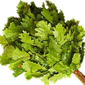 Банные веники купить